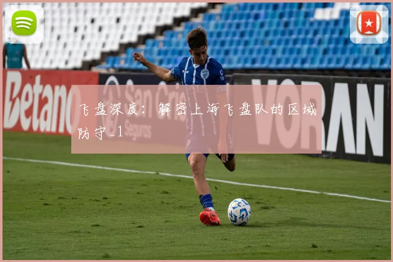 飞盘深度：解密上海飞盘队的区域防守_1