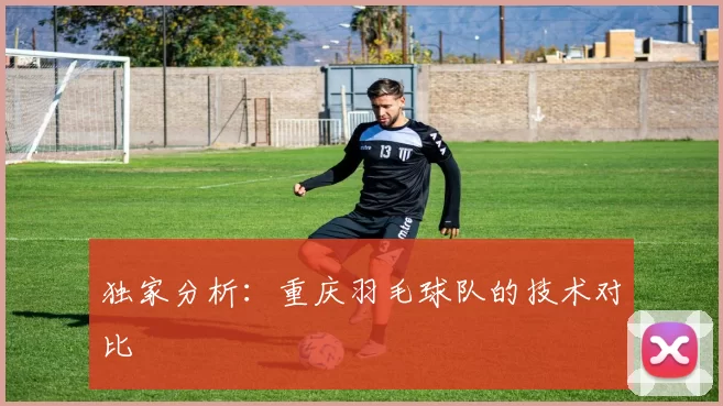 独家分析：重庆羽毛球队的技术对比