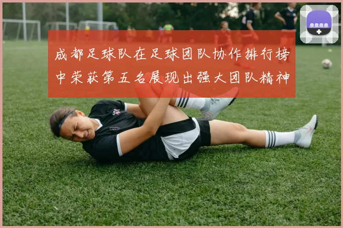 成都足球队在足球团队协作排行榜中荣获第五名展现出强大团队精神与实力