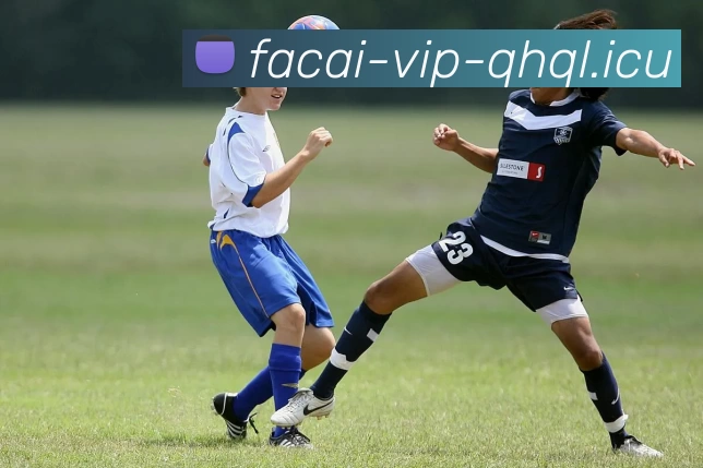 乐竞体育平台生态图